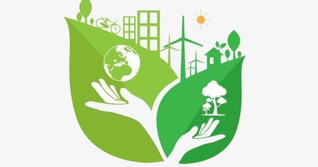 Clean & Green Campaigns