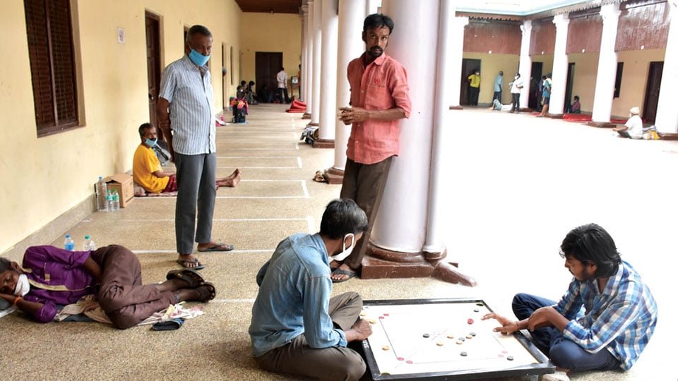 news 10 1 shelter homes