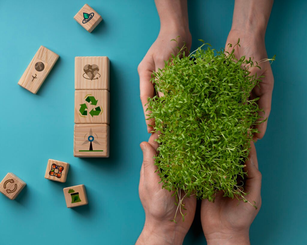 sustainable development goals still life